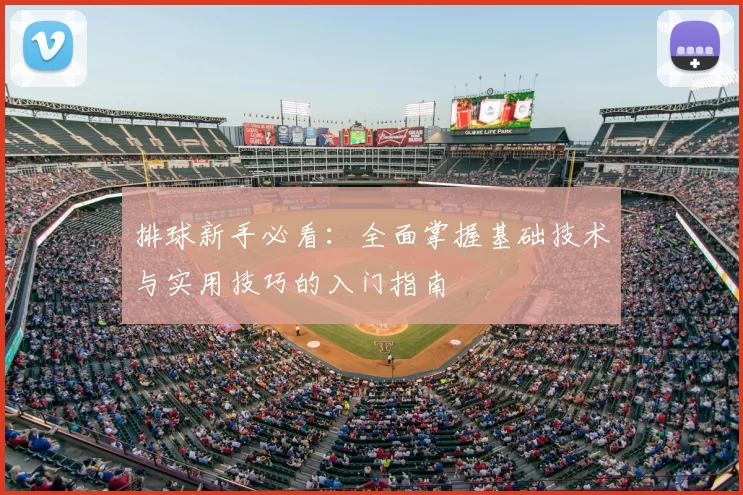 排球新手必看:全面掌握基础技术与实用技巧的入门指南