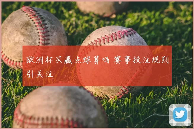 欧洲杯买赢点球算吗 赛事投注规则引关注