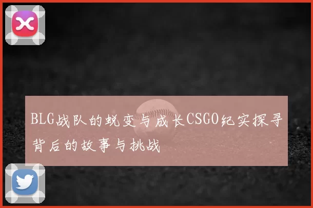 BLG战队的蜕变与成长CSGO纪实探寻背后的故事与挑战