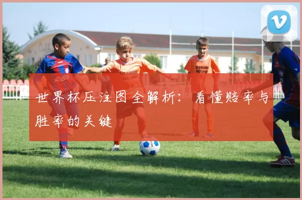 世界杯压注图全解析：看懂赔率与胜率的关键