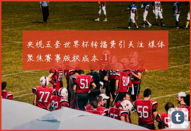 央视五套世界杯转播费引关注 媒体聚焦赛事版权成本_1