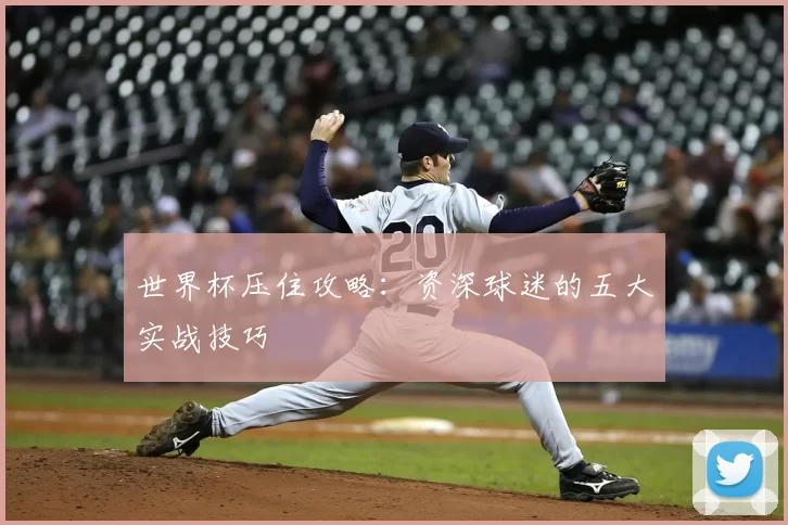 世界杯压住攻略：资深球迷的五大实战技巧