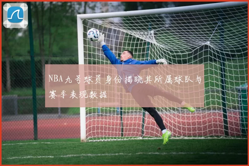 NBA九号球员身份揭晓其所属球队与赛季表现数据