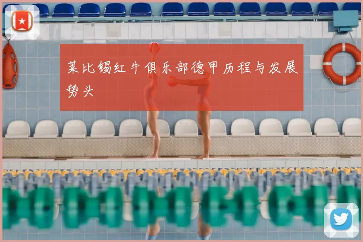 莱比锡红牛俱乐部德甲历程与发展势头