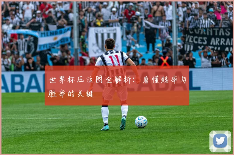 世界杯压注图全解析：看懂赔率与胜率的关键