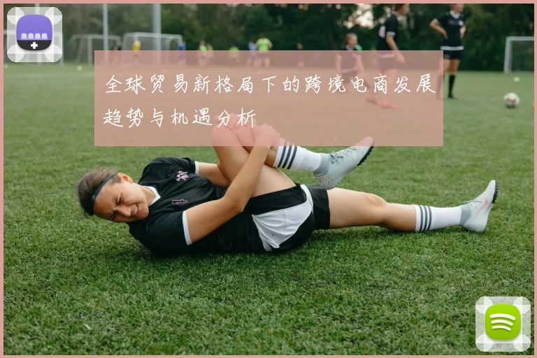 全球贸易新格局下的跨境电商发展趋势与机遇分析