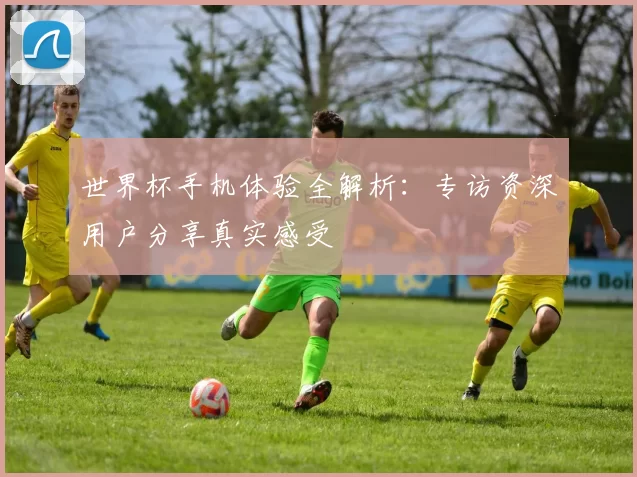 世界杯手机体验全解析:专访资深用户分享真实感受