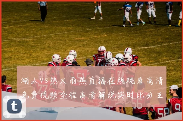 湖人vs热火雨燕直播在线观看高清免费视频全程高清解说实时比分互动回放