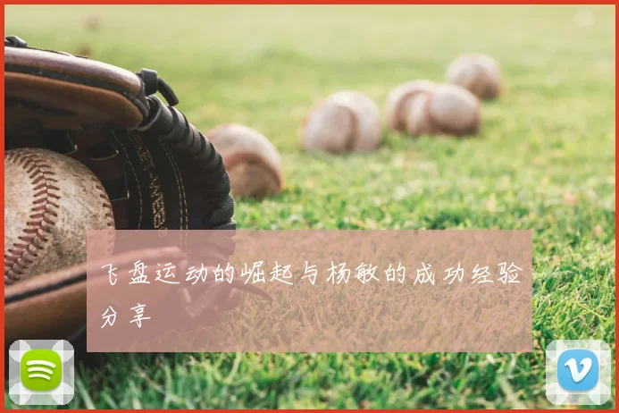 飞盘运动的崛起与杨敏的成功经验分享