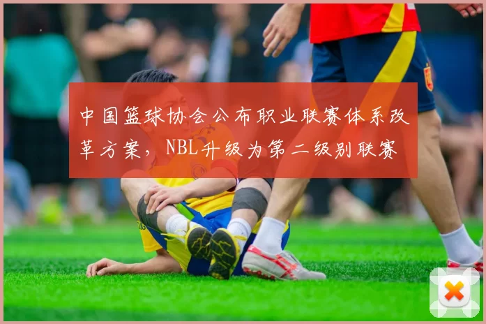 中国篮球协会公布职业联赛体系改革方案,NBL升级为第二级别联赛