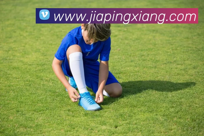 kaiyun平台生态图