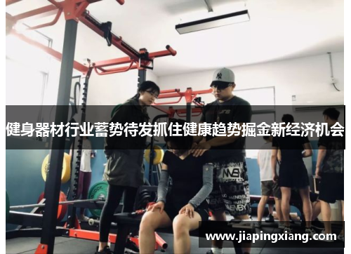 健身器材行业蓄势待发抓住健康趋势掘金新经济机会